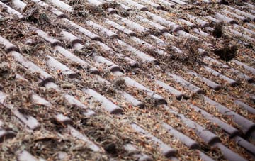 Pentre Llanrhaeadr roof cleaning companies