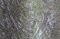 Pentre Llanrhaeadr fibreglass roof work