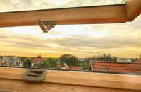 rated Pentre Llanrhaeadr roof window companies